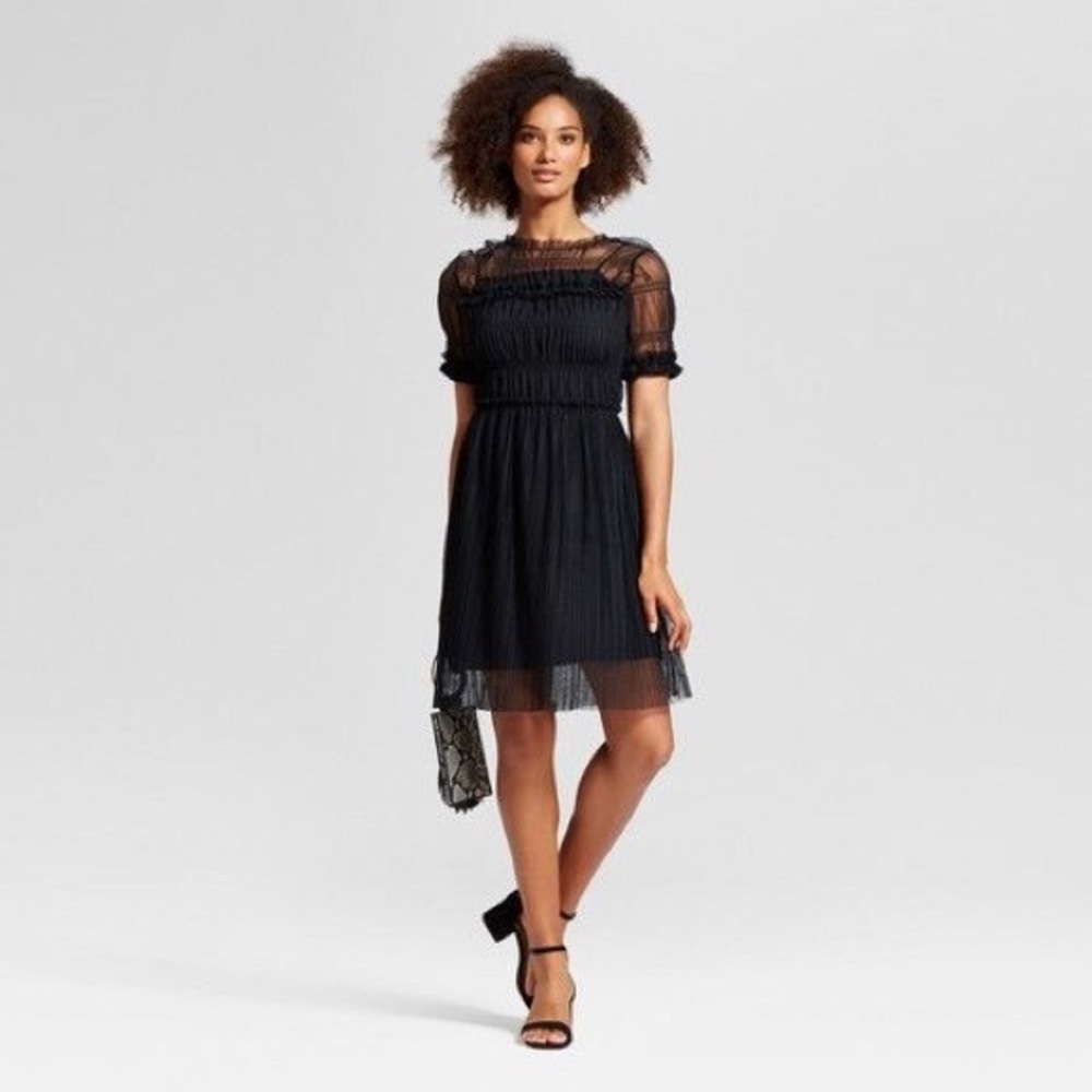 Mesh Sheer Black Midi Flowy short Sleeve Dress